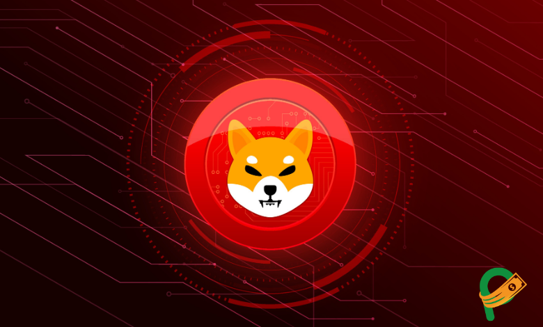 Shiba Coin Geleceği