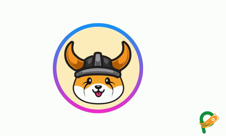 Floki Coin Geleceği