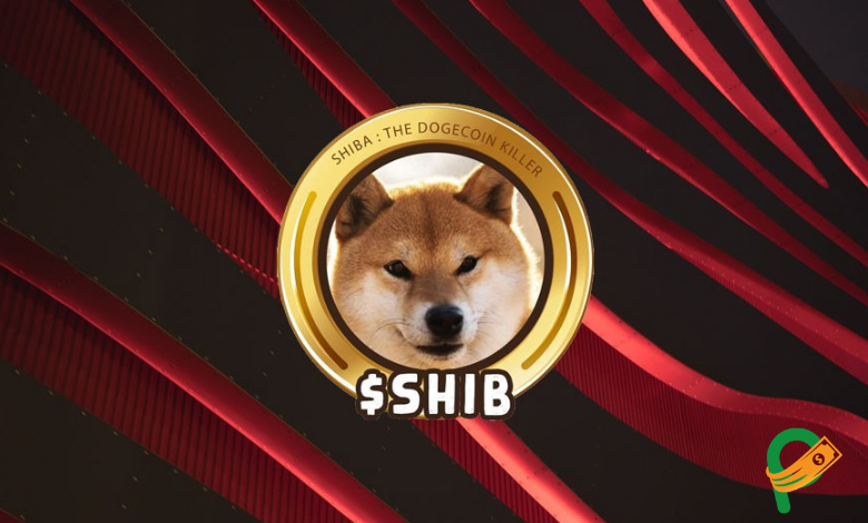 Shiba İnu Coin Geleceği